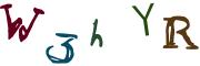 Resimli CAPTCHA