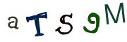 Resimli CAPTCHA
